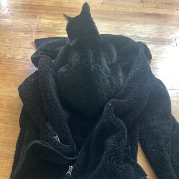 Weatherproof Jacket - Picture 2 of 7